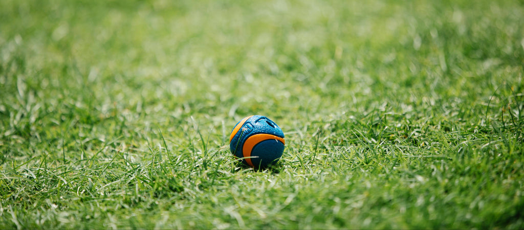 Pelota Dispensadora de Premios de Goma para Perro