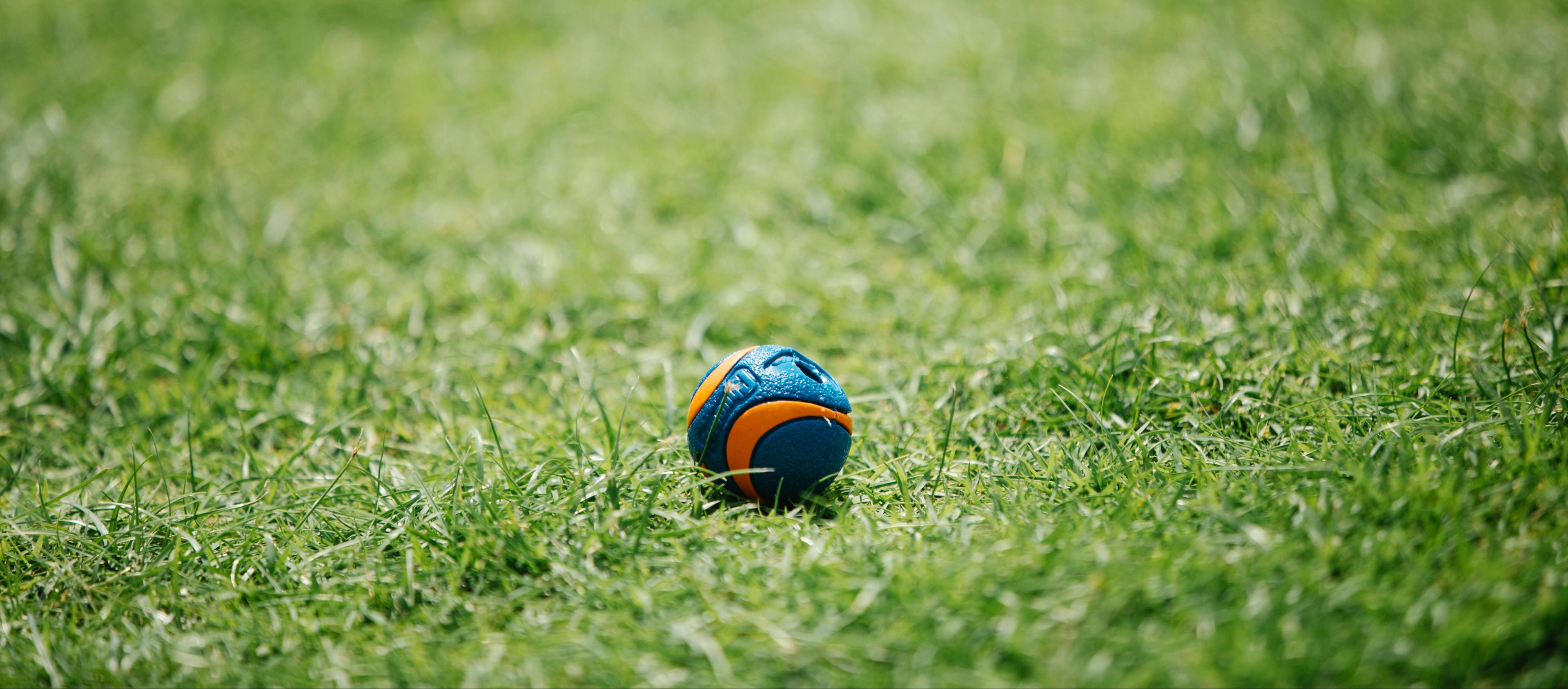 Pelota Dispensadora de Premios de Goma para Perro